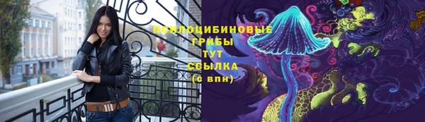 PSILOCYBIN Алзамай
