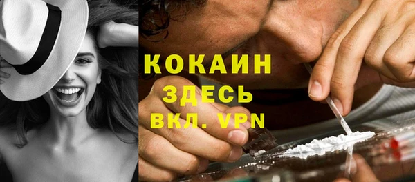 PSILOCYBIN Алзамай