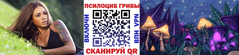 Галлюциногенные грибы Psilocybine cubensis  Новотитаровская 
