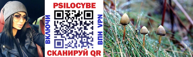 Галлюциногенные грибы прущие грибы Новотитаровская